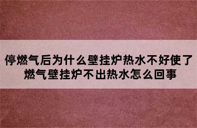 停燃气后为什么壁挂炉热水不好使了 燃气壁挂炉不出热水怎么回事